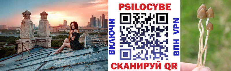 цена   Покров  Галлюциногенные грибы GOLDEN TEACHER 